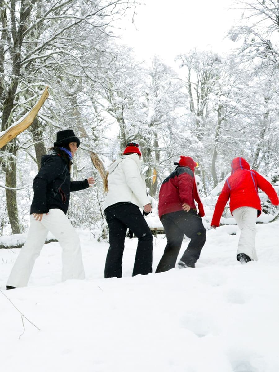 Cuatro personas caminando en fila por un bosque nevado, con bastones y ropa de abrigo.